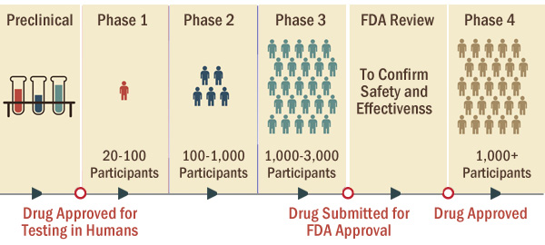 Clinical Trials Phases