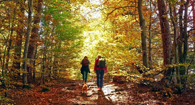 Hikers in the woods in fall
