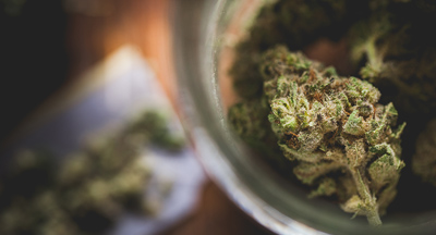 Medical Marijuana