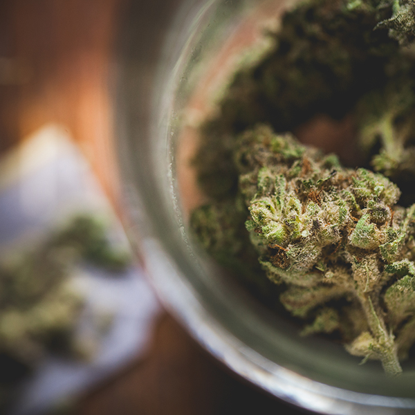 Medical Marijuana